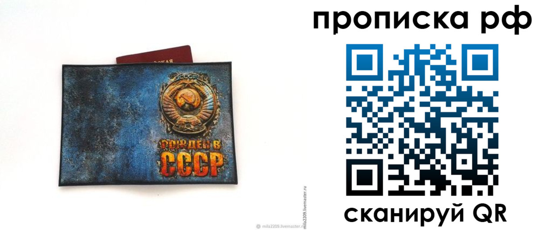 прописка гарантия в Новотроицке